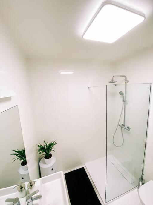 New Studio In Quiet Part Of The City Center Pressburg Exterior foto